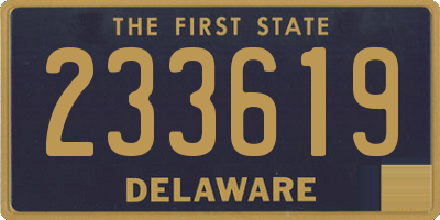 DE license plate 233619