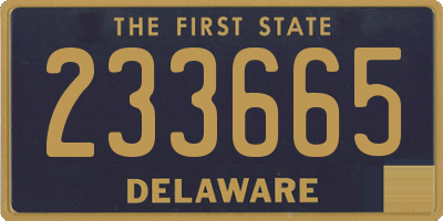 DE license plate 233665