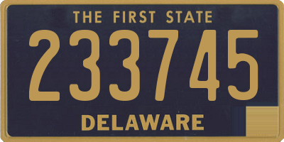 DE license plate 233745