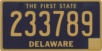DE license plate 233789
