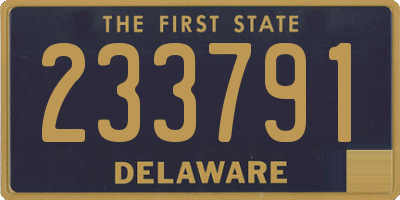 DE license plate 233791