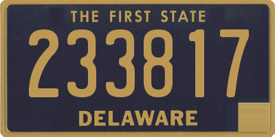 DE license plate 233817