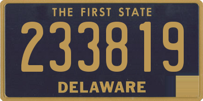 DE license plate 233819