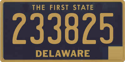 DE license plate 233825
