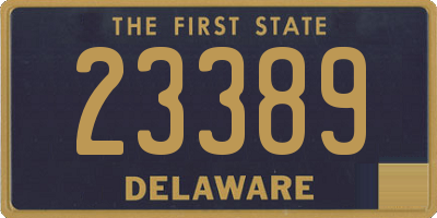 DE license plate 23389