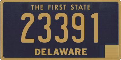 DE license plate 23391