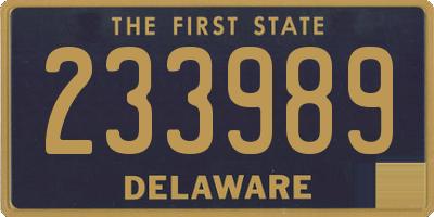 DE license plate 233989