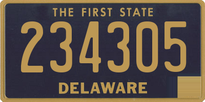 DE license plate 234305