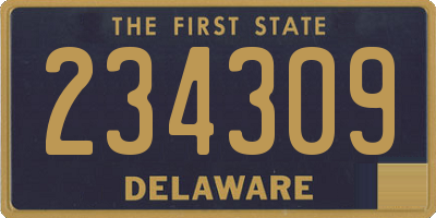 DE license plate 234309