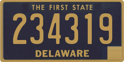 DE license plate 234319