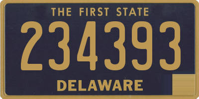 DE license plate 234393