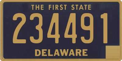 DE license plate 234491