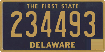 DE license plate 234493