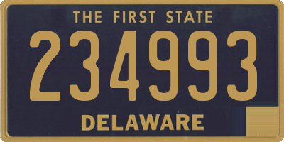 DE license plate 234993