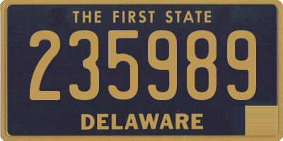 DE license plate 235989