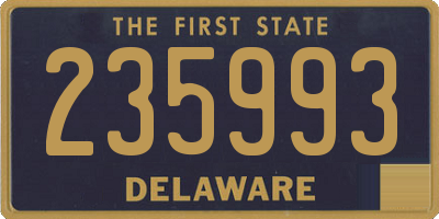 DE license plate 235993