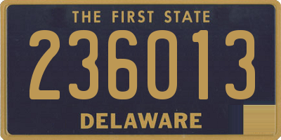 DE license plate 236013