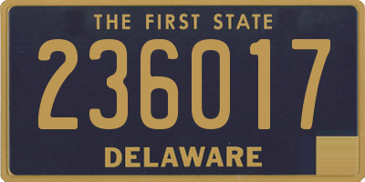DE license plate 236017