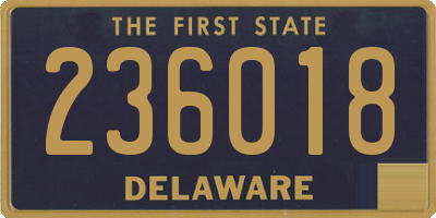 DE license plate 236018
