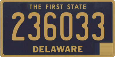 DE license plate 236033