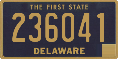 DE license plate 236041