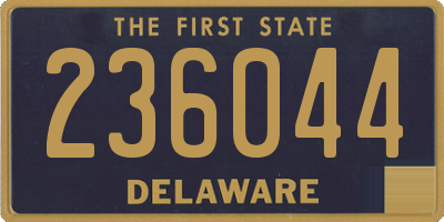 DE license plate 236044