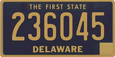DE license plate 236045