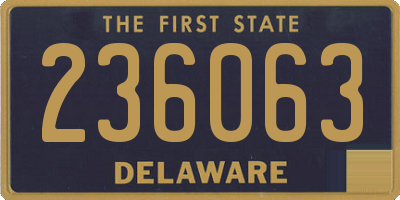 DE license plate 236063
