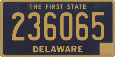 DE license plate 236065