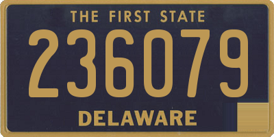 DE license plate 236079