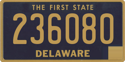 DE license plate 236080