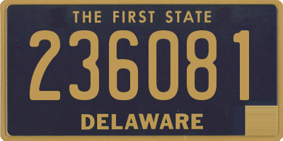 DE license plate 236081