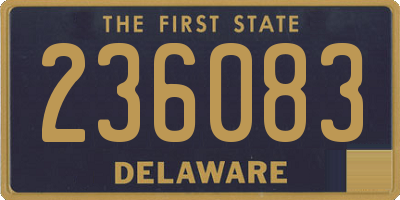 DE license plate 236083
