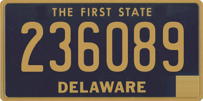 DE license plate 236089