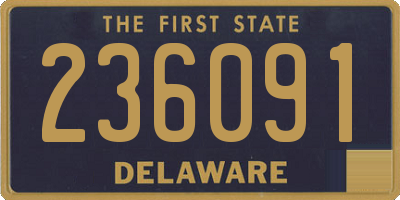 DE license plate 236091