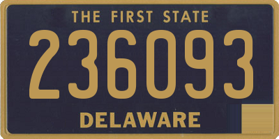 DE license plate 236093