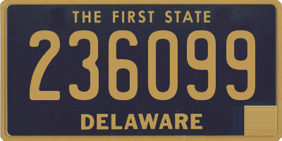 DE license plate 236099