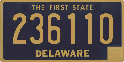 DE license plate 236110