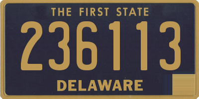 DE license plate 236113