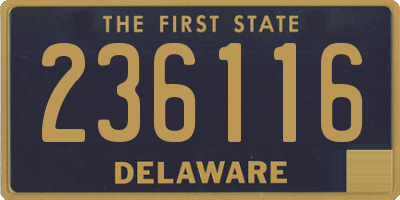 DE license plate 236116