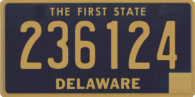 DE license plate 236124