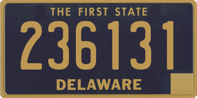 DE license plate 236131