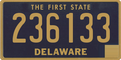 DE license plate 236133