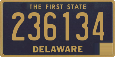 DE license plate 236134