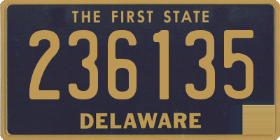 DE license plate 236135