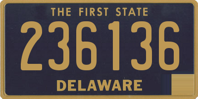 DE license plate 236136