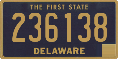DE license plate 236138