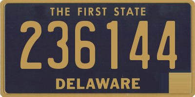 DE license plate 236144