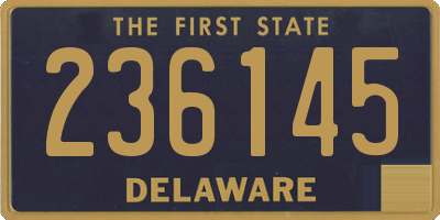 DE license plate 236145