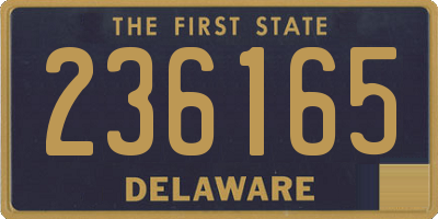 DE license plate 236165